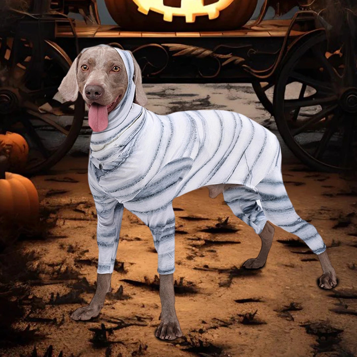 Funny Halloween Costume for Dogs and Cats - Striped Mummy Print Jumpsuit for Pet Cosplay Party Outfit Perfect for Decoration