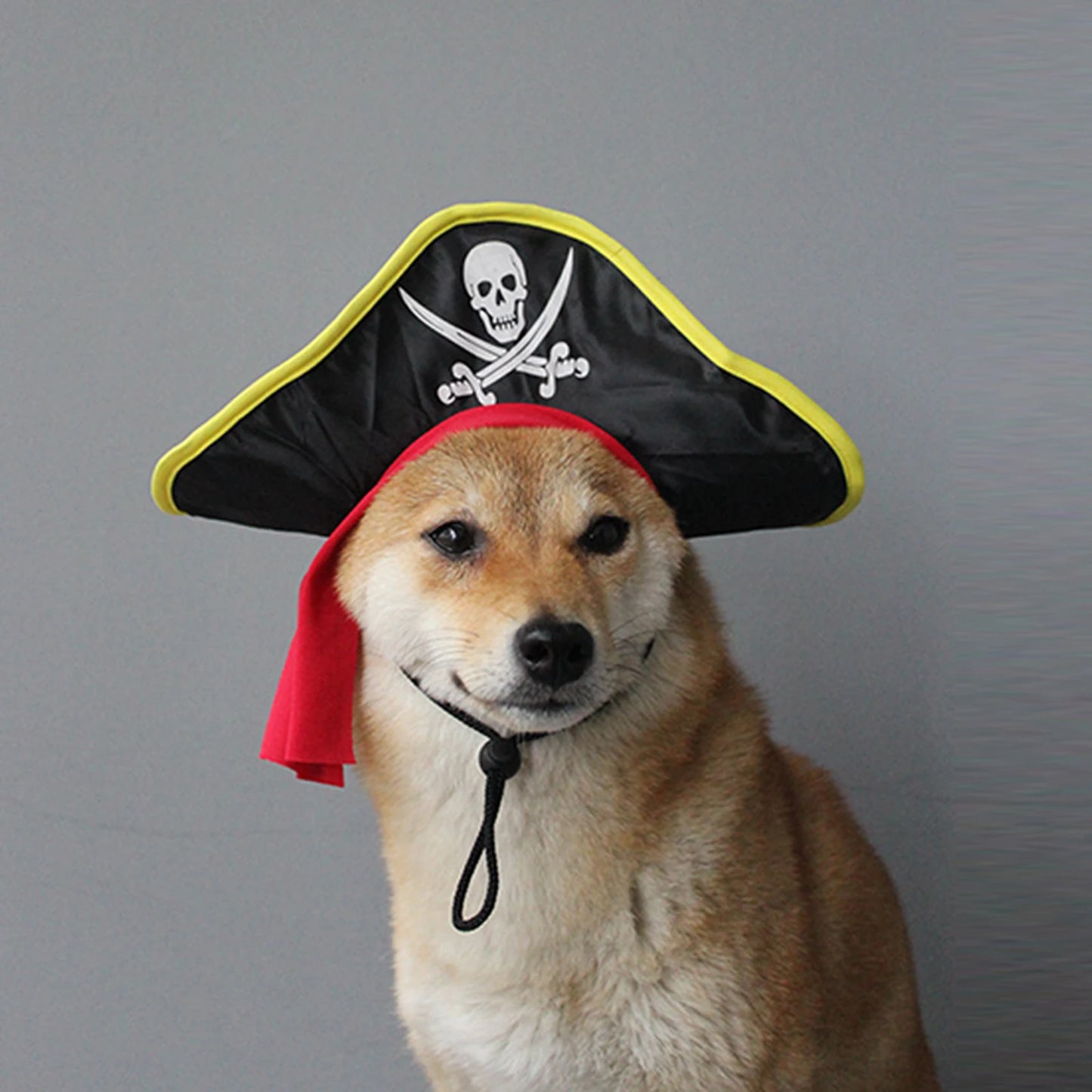 Halloween Pet Costume Pirate Hat with Skull Print for Dogs and Cats Cosplay Party Headwear Accessory