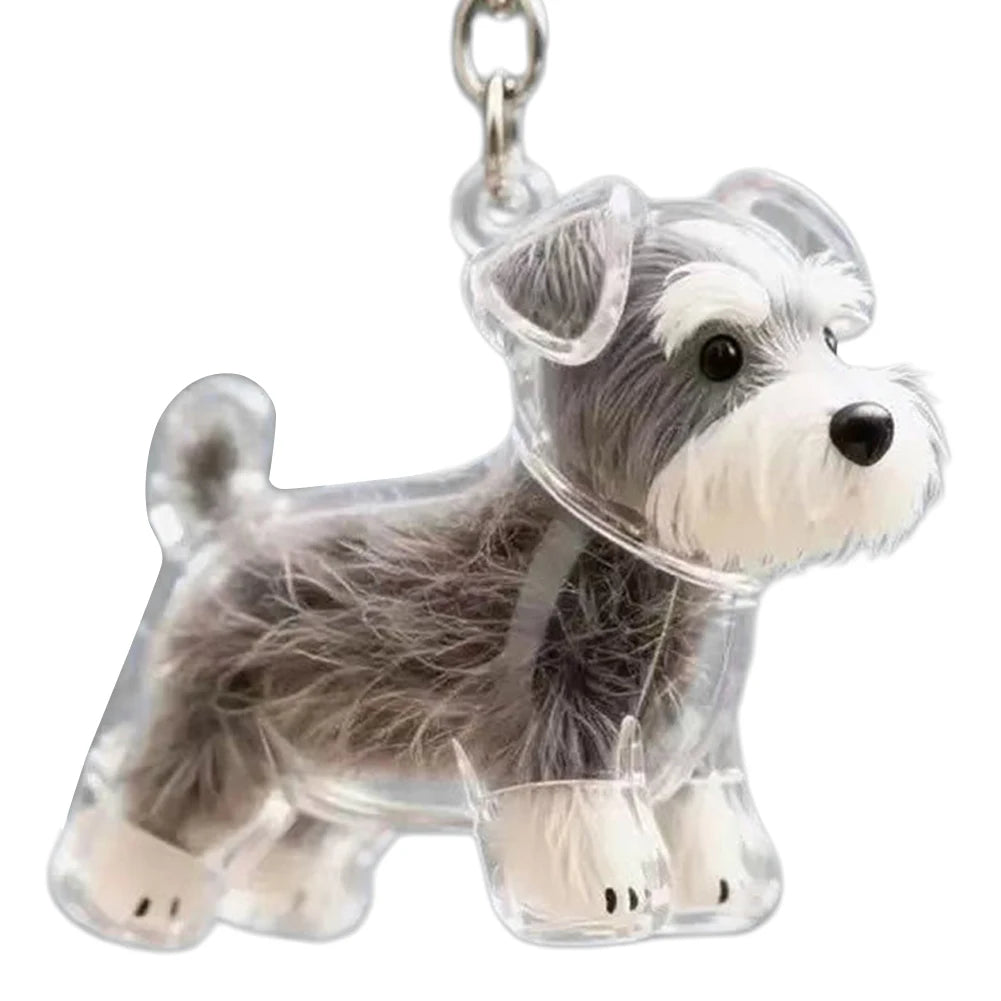 Dog Hair Collector Keychain Wear Resist Pet Hair Collector Transparent Bottle Charm Portable Pet Memory Capsule