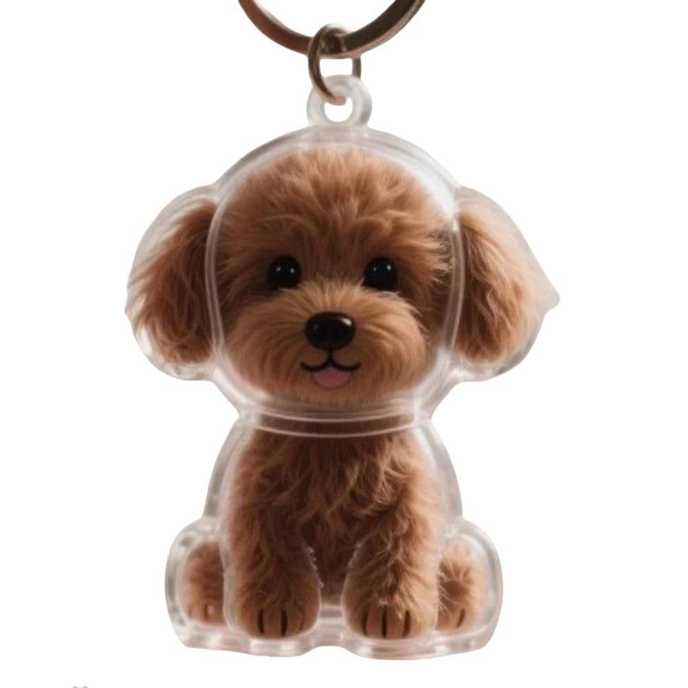 Dog Hair Collector Keychain Wear Resist Pet Hair Collector Transparent Bottle Charm Portable Pet Memory Capsule