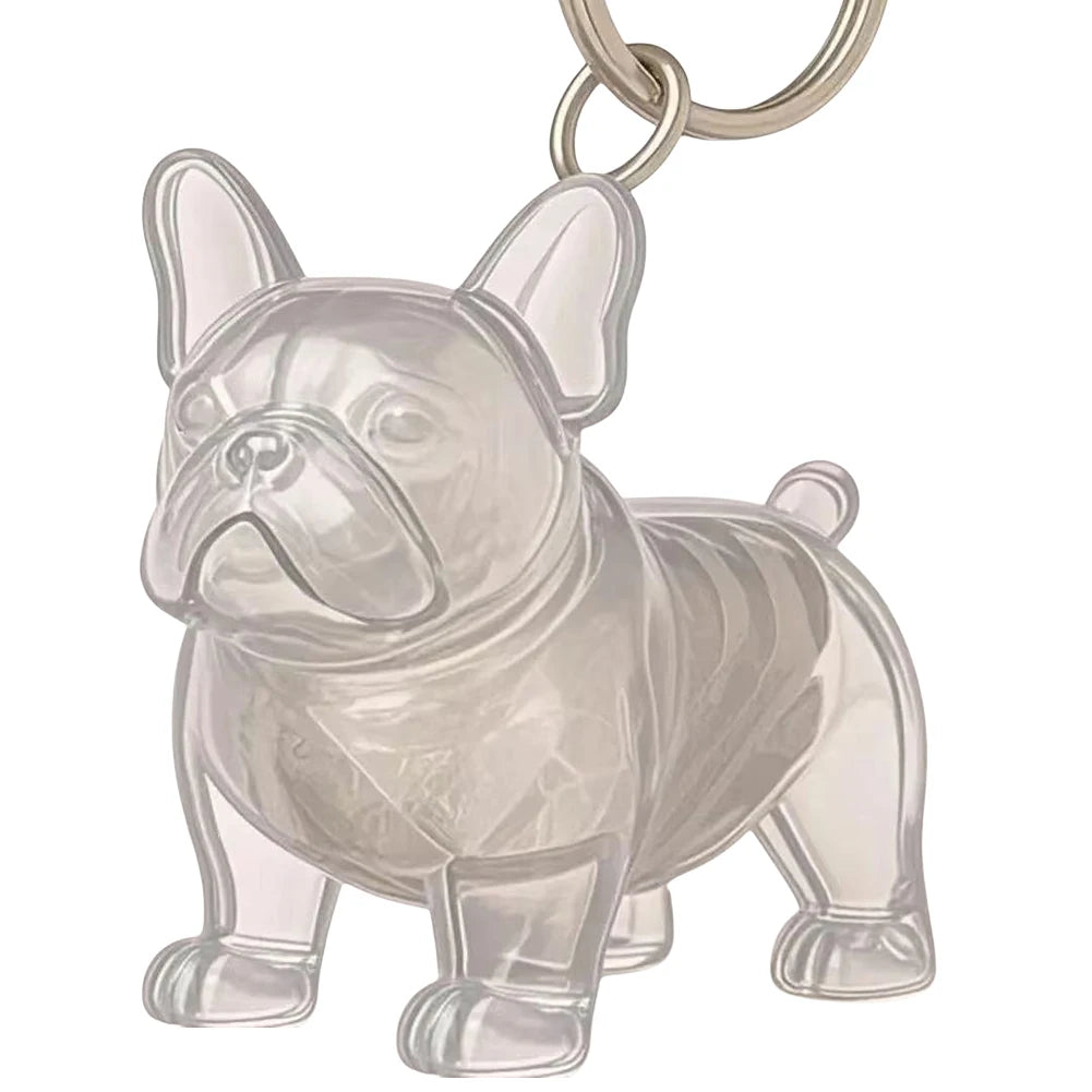 Dog Hair Collector Keychain Wear Resist Pet Hair Collector Transparent Bottle Charm Portable Pet Memory Capsule