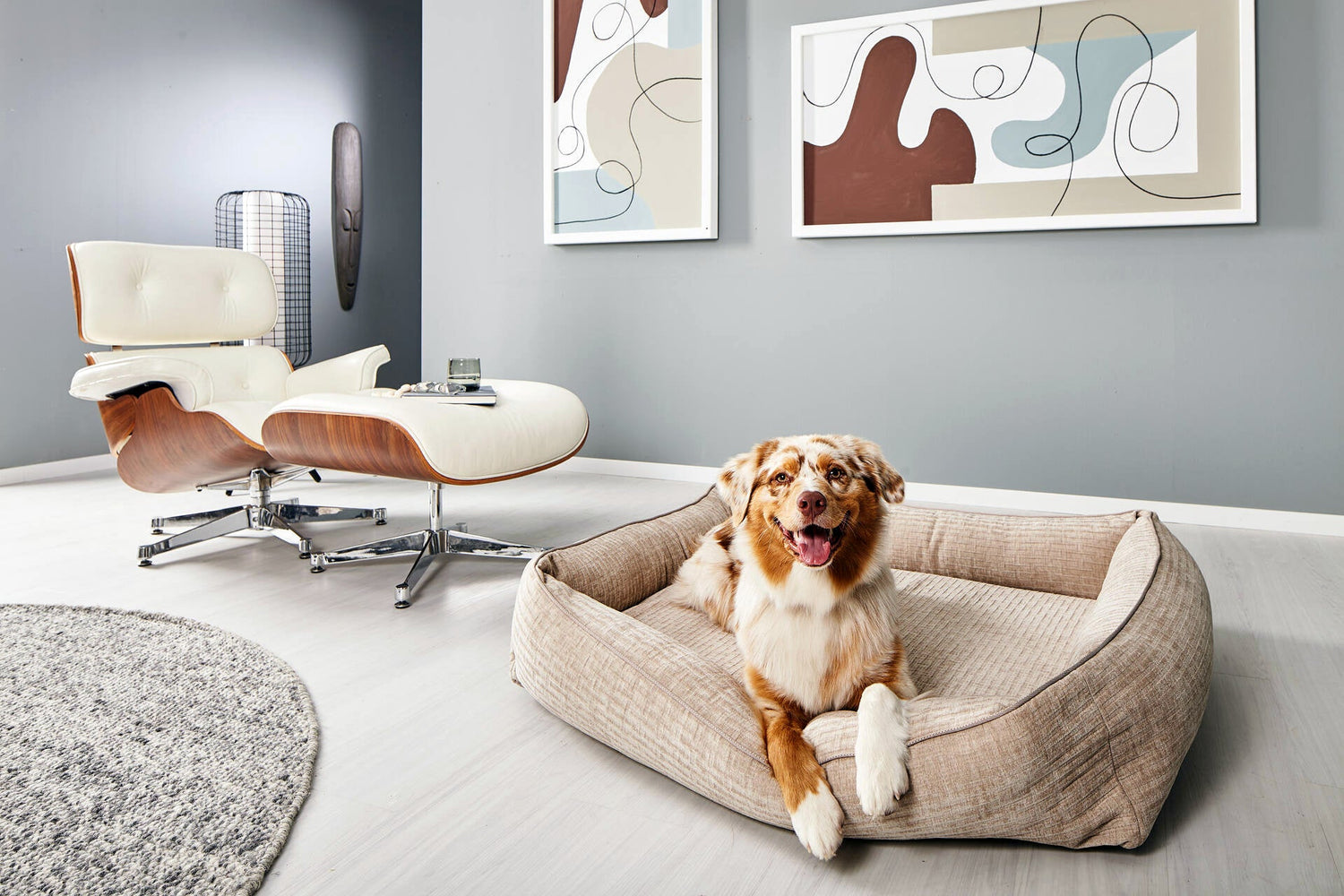 Pet Beds and Blankets