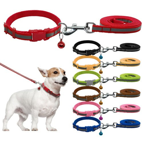 Collars & Leashes