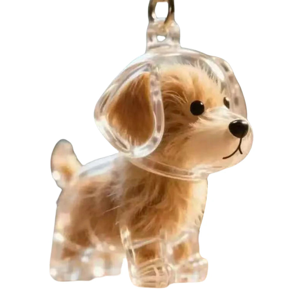 Dog Hair Collector Keychain Wear Resist Pet Hair Collector Transparent Bottle Charm Portable Pet Memory Capsule
