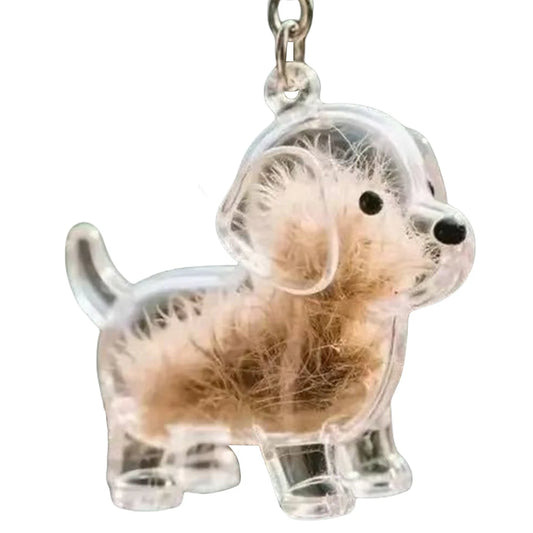 Dog Hair Collector Keychain Wear Resist Pet Hair Collector Transparent Bottle Charm Portable Pet Memory Capsule