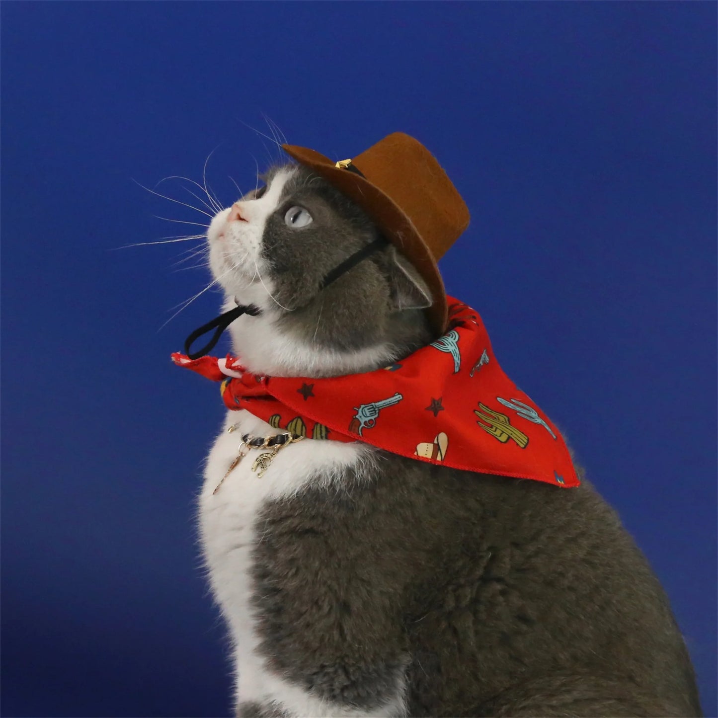 Dog Cowboy Costume Vintage Wild West Hat and Paisley Print Bandana Set Halloween Costume for Small Pets