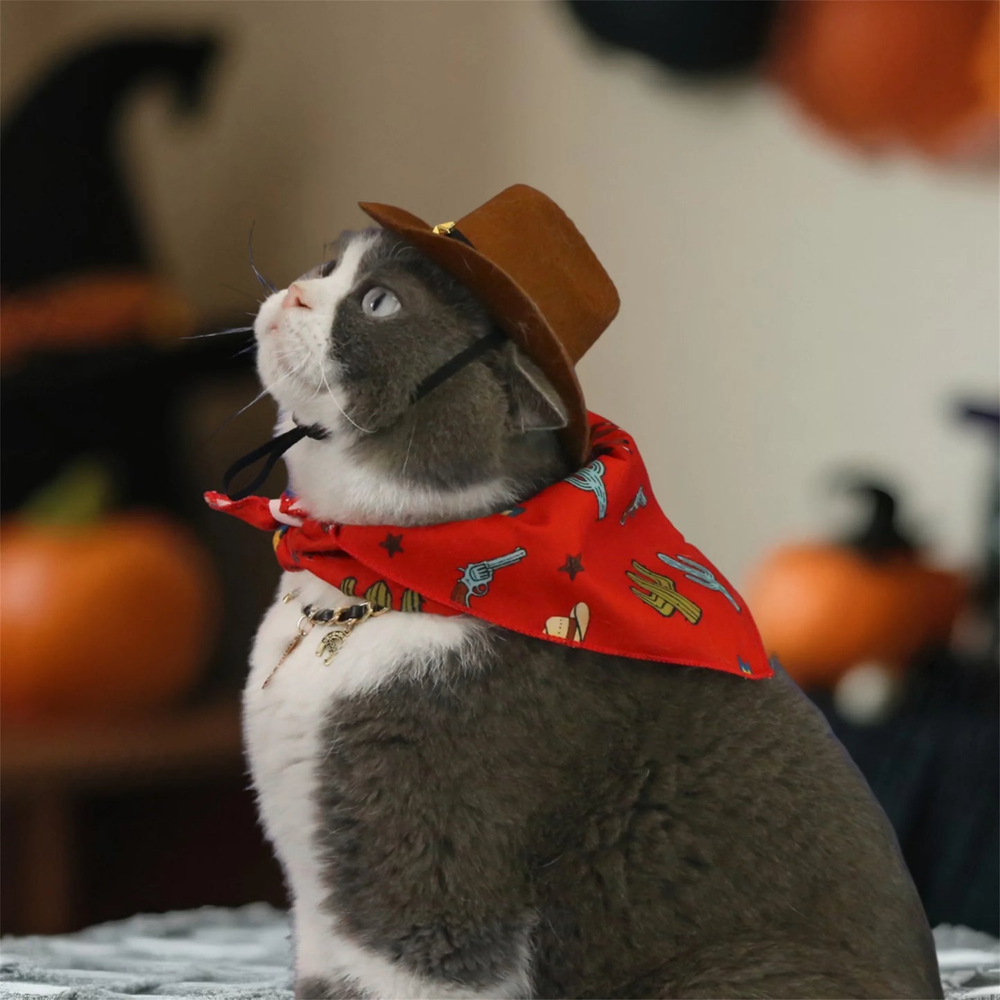 Dog Cowboy Costume Vintage Wild West Hat and Paisley Print Bandana Set Halloween Costume for Small Pets