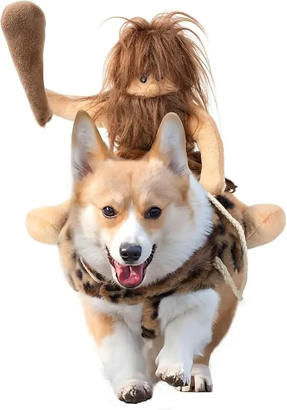 DELIFUR Dog Halloween Costume Funny Dog Cowboy Riding Costume Pet Costume Cat Suit Cowboy Rider Style for Small Medium Large Dog