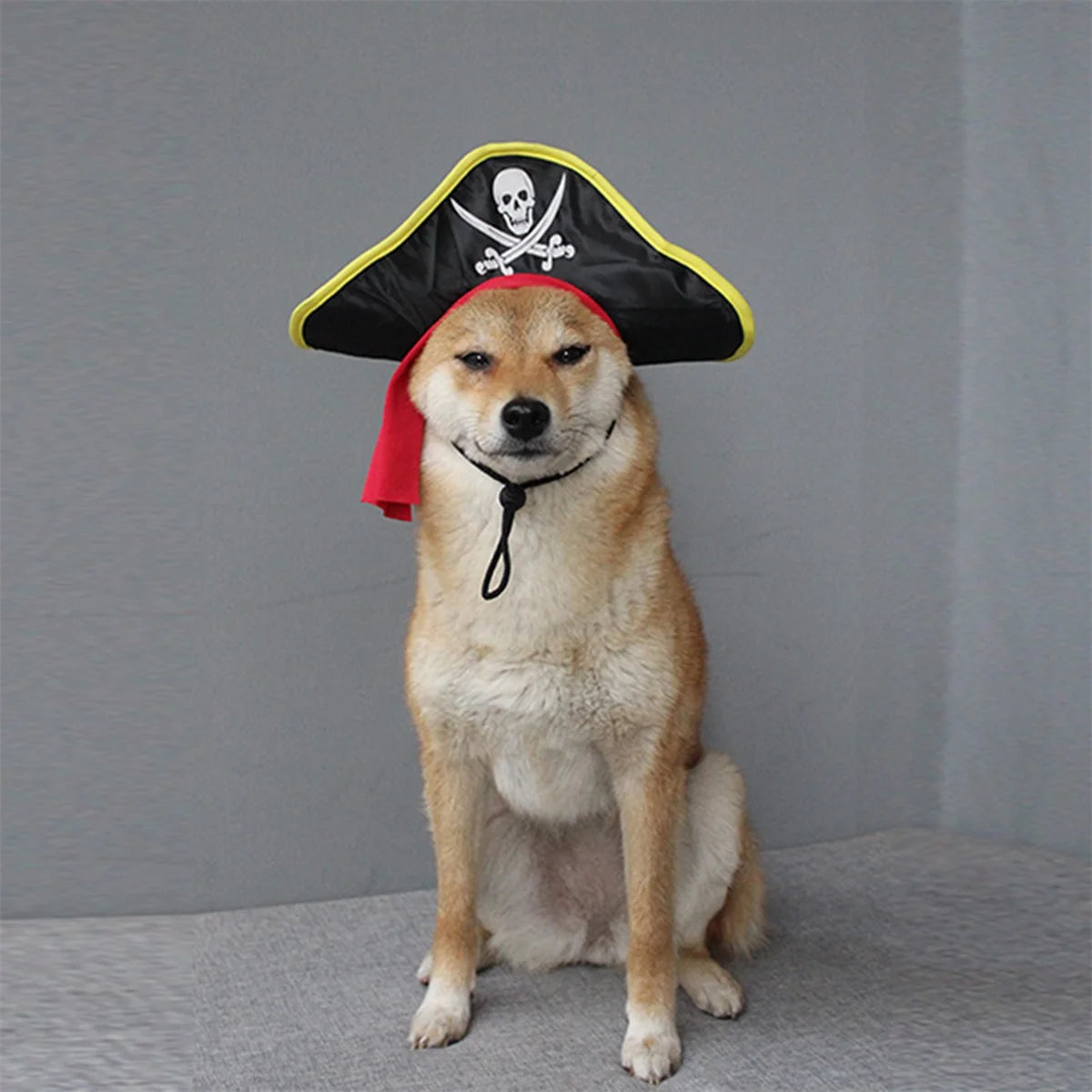 Halloween Pet Costume Pirate Hat with Skull Print for Dogs and Cats Cosplay Party Headwear Accessory