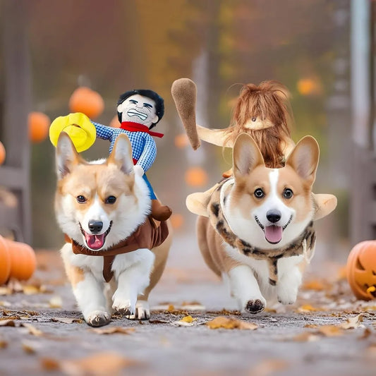 DELIFUR Dog Halloween Costume Funny Dog Cowboy Riding Costume Pet Costume Cat Suit Cowboy Rider Style for Small Medium Large Dog