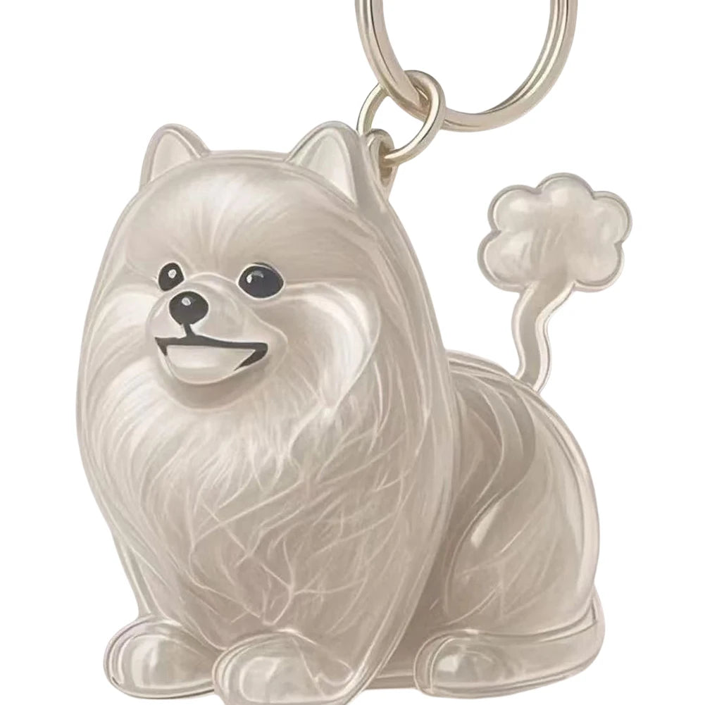 Dog Hair Collector Keychain Wear Resist Pet Hair Collector Transparent Bottle Charm Portable Pet Memory Capsule