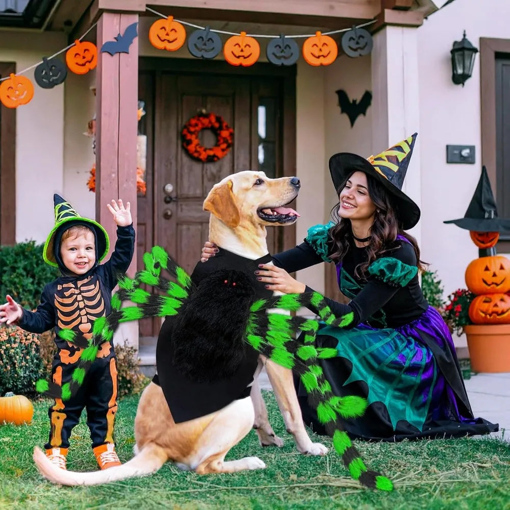 Dog Halloween Costume Large Breed, Furry Dog Spider Costume with 64 LED, Funny Halloween Dogs Costumes for Large Dogs Medium Pet