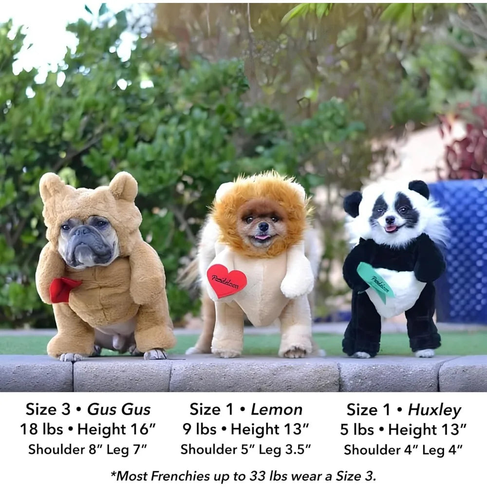 Pandaloon Dog Halloween Costume - As Seen on Shark Tank - Patented - Funny Costume with Arms for Small and Medium Dogs and Cats