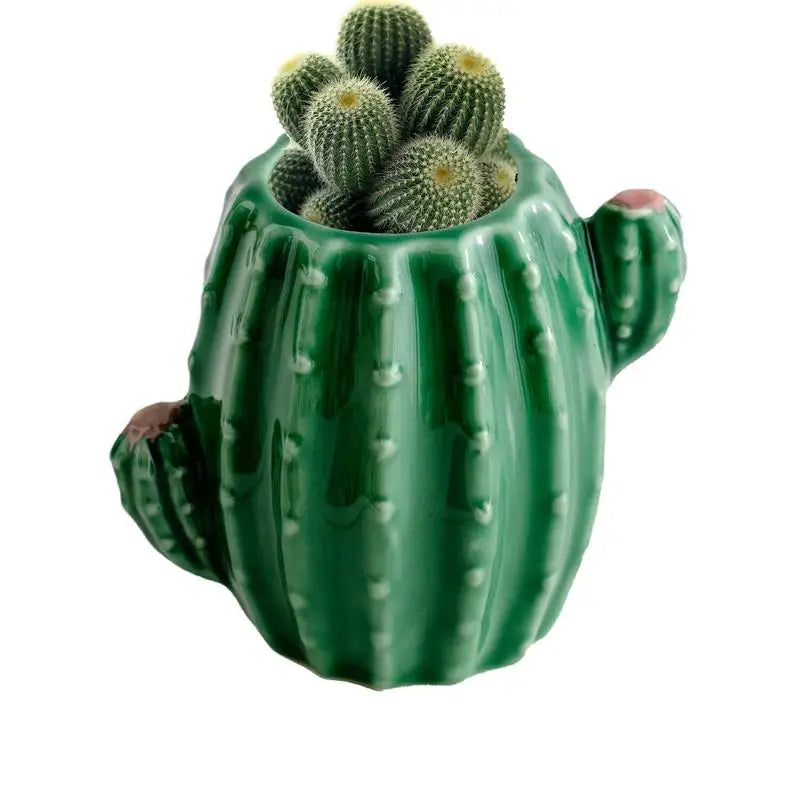 Cactus Vase Ceramic Decorative Vase Ceramic Vase Flower Vase Small Vases Desk Decor Floral Arrangements Table Vase Cactus Decor